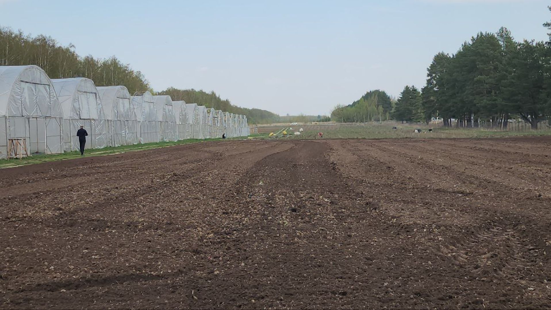 Луховицы, Сельское хозяйство,