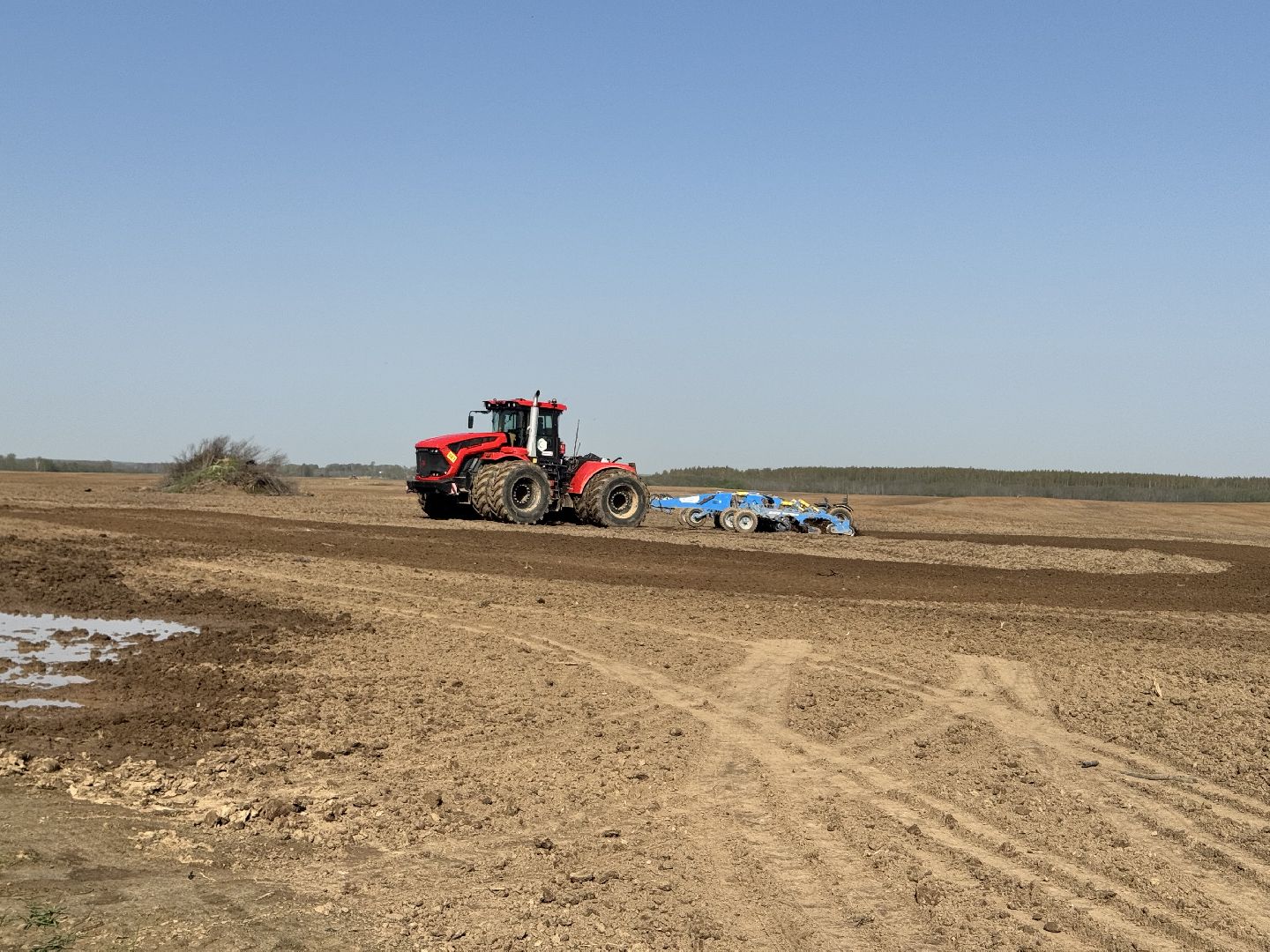 шаховская, посевная, горох, агропромышленные комплексы,