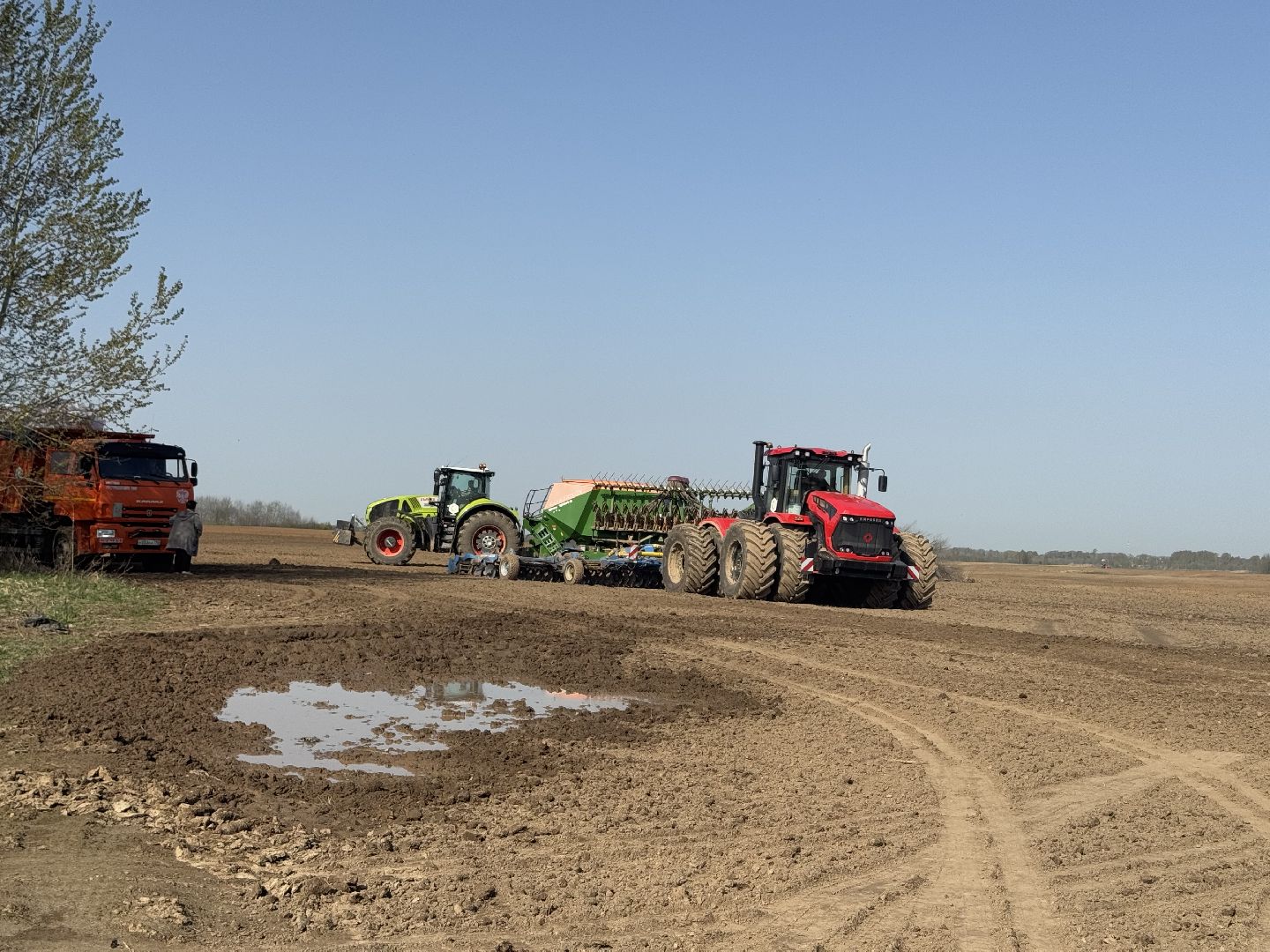 шаховская, посевная, горох, агропромышленные комплексы,