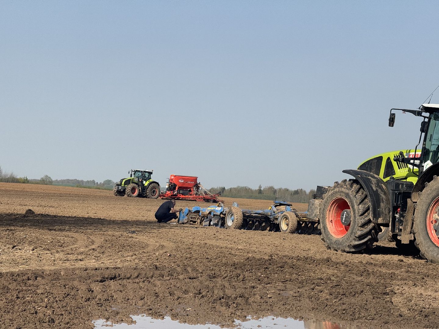 шаховская, посевная, горох, агропромышленные комплексы,