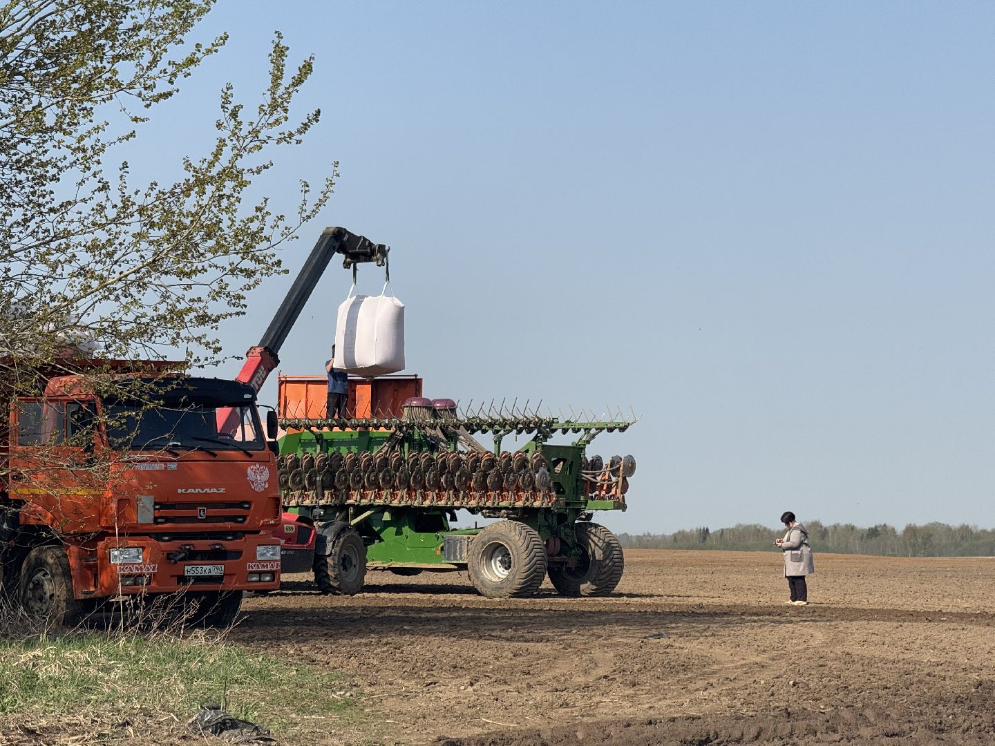 шаховская, посевная, горох, агропромышленные комплексы,
