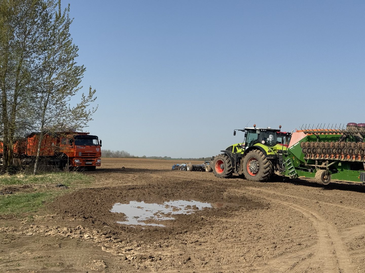 шаховская, посевная, горох, агропромышленные комплексы,