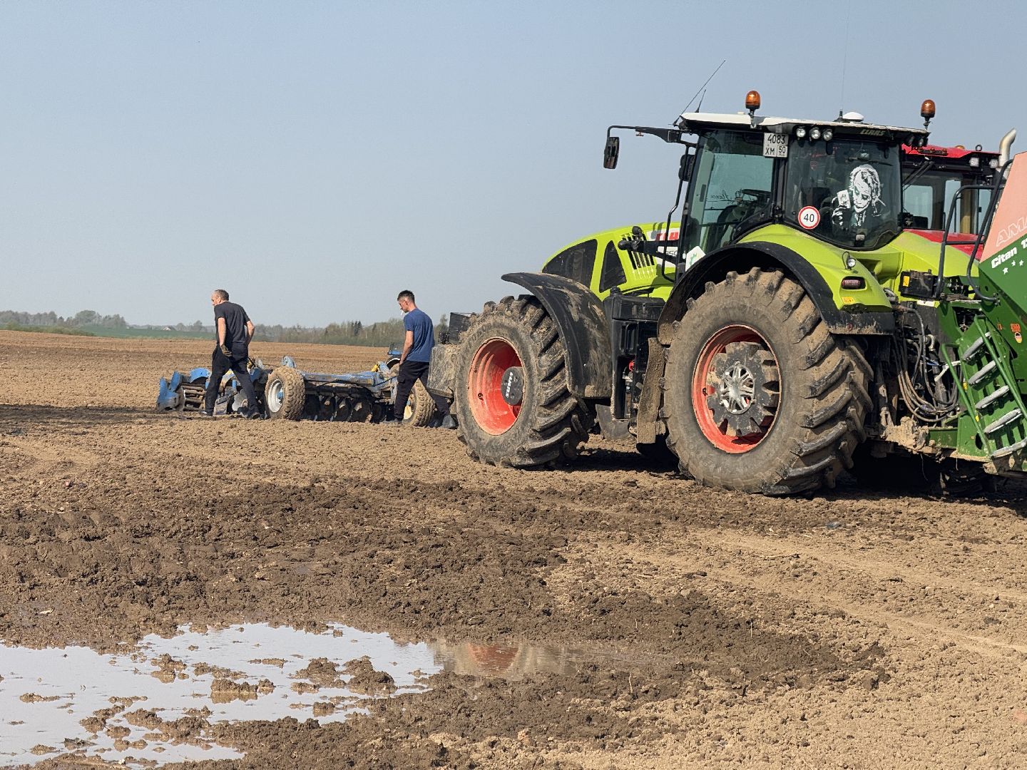 шаховская, посевная, горох, агропромышленные комплексы,