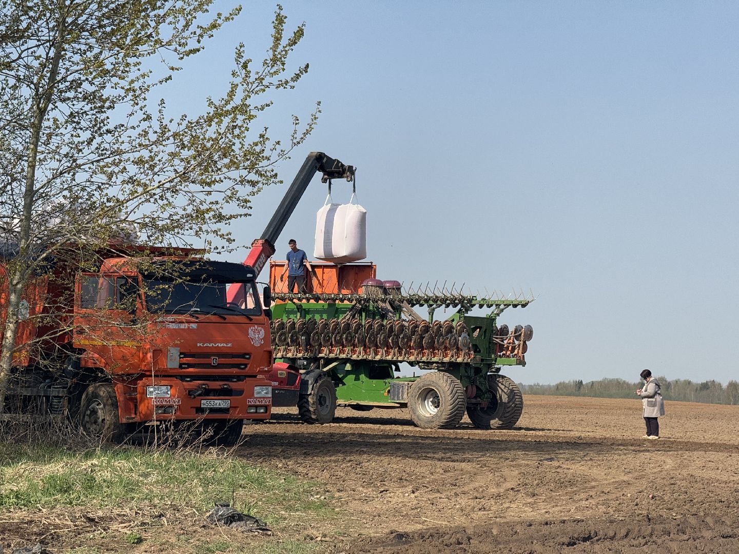 шаховская, посевная, горох, агропромышленные комплексы,