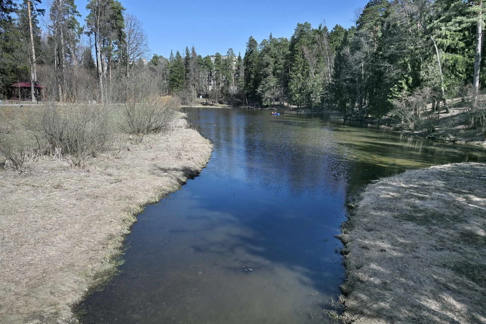 субботник во власихе, территория власихи, уборка леса, прогулочная зона,