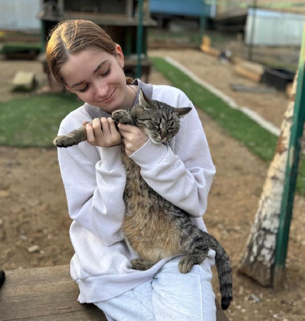 пушкинский, приют для бездомных животных, кошки, собаки, волонтерская группа, нежный бизнес, корма для животных, подарки, помощь животным,