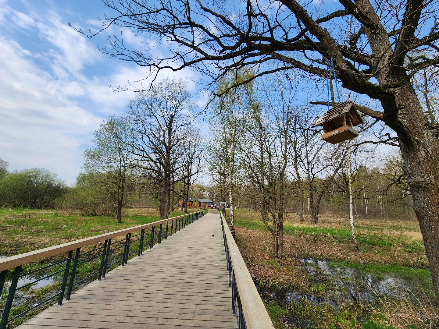 фрязино, лесопарк, обработка от клещей, клещи,