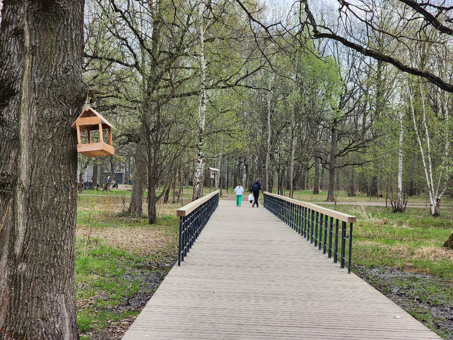 фрязино, лесопарк, обработка от клещей, клещи,