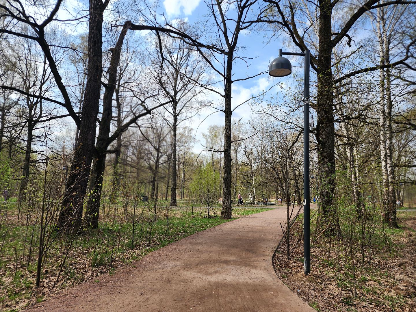 фрязино, лесопарк, обработка от клещей, клещи,