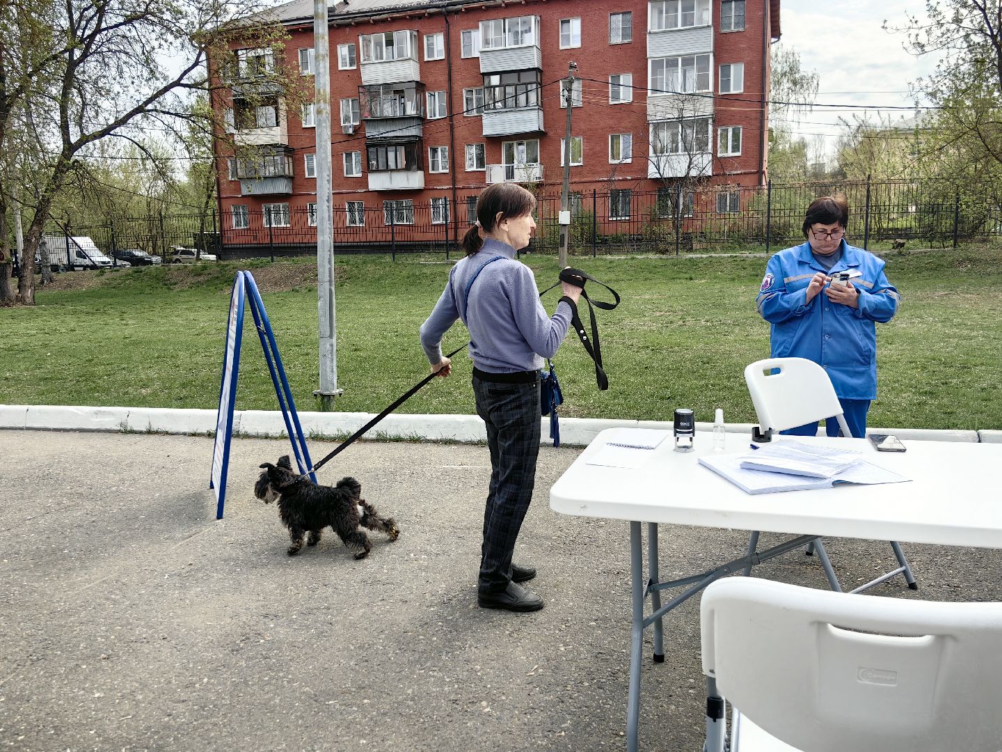 вакцинация, регистрация животных, чипирование, акция, парк,