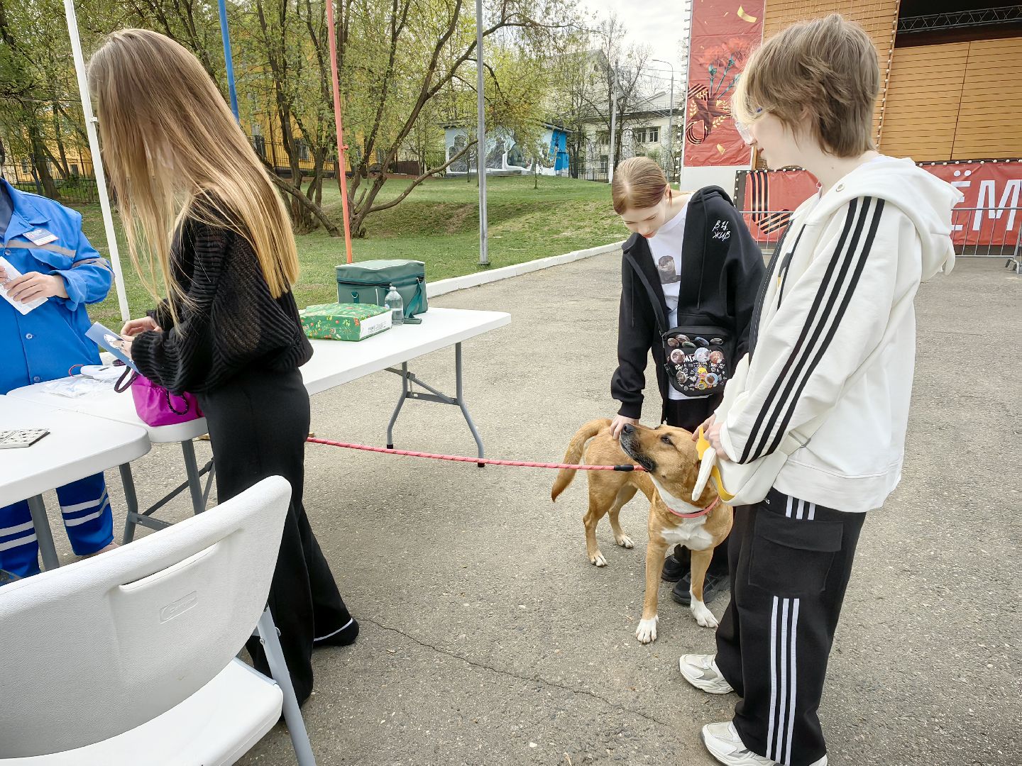 вакцинация, регистрация животных, чипирование, акция, парк,