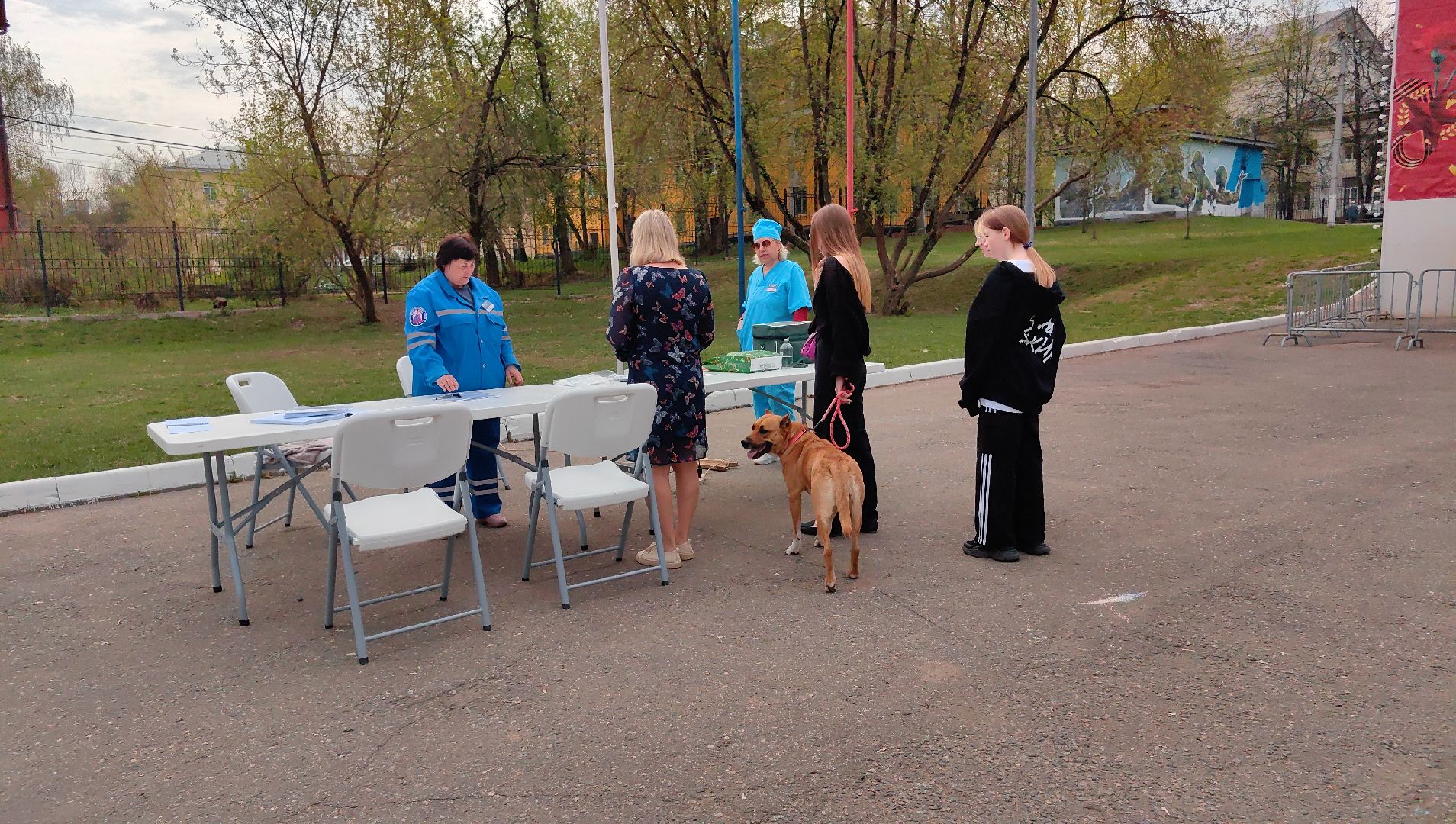 вакцинация, регистрация животных, чипирование, акция, парк,