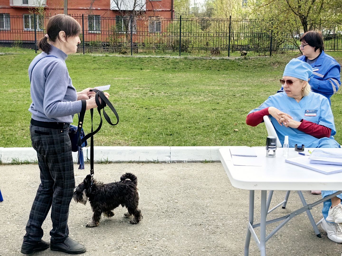 вакцинация, регистрация животных, чипирование, акция, парк,