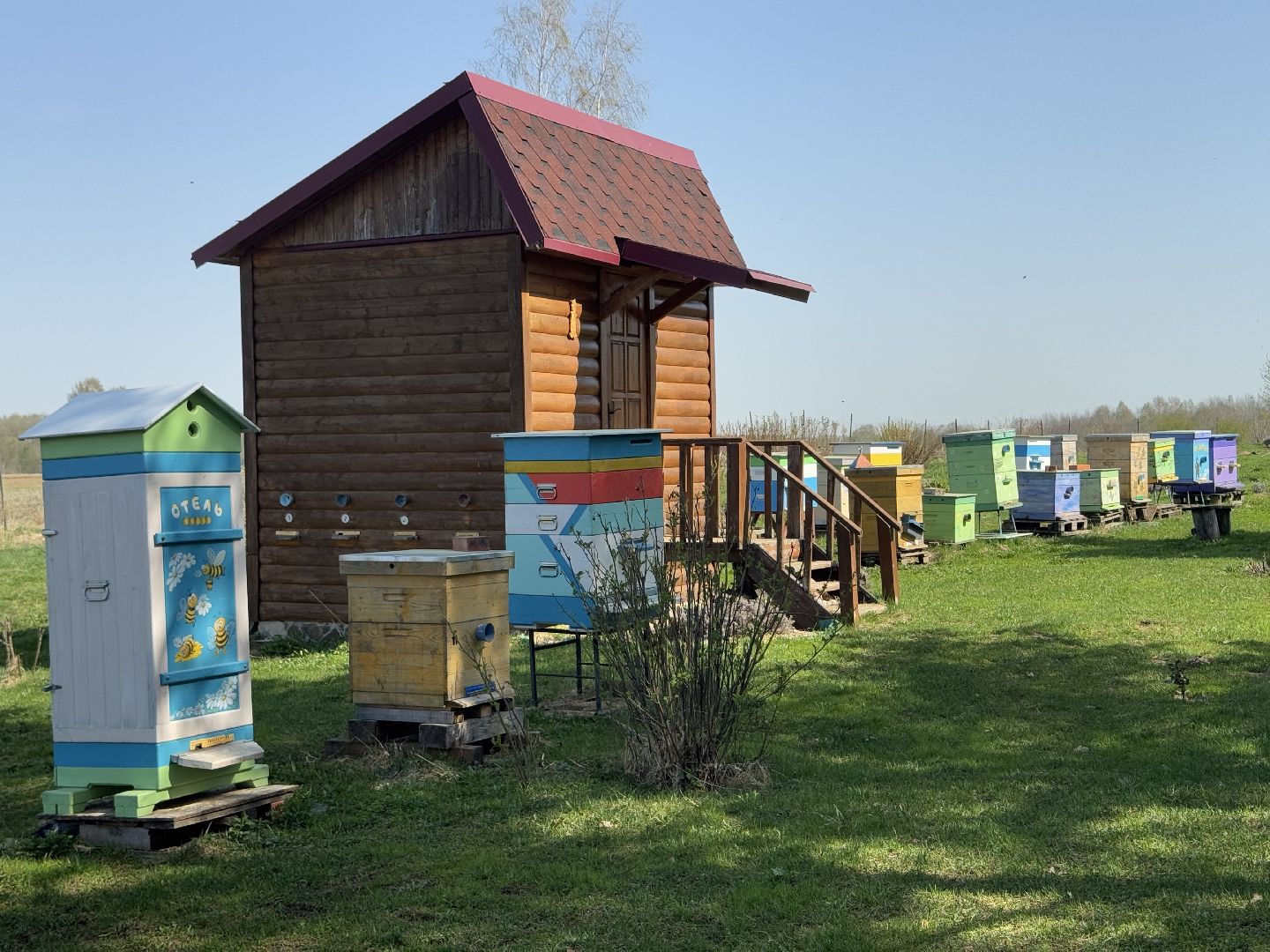 шаховская, пчеловод, пчеловодство, мёд,