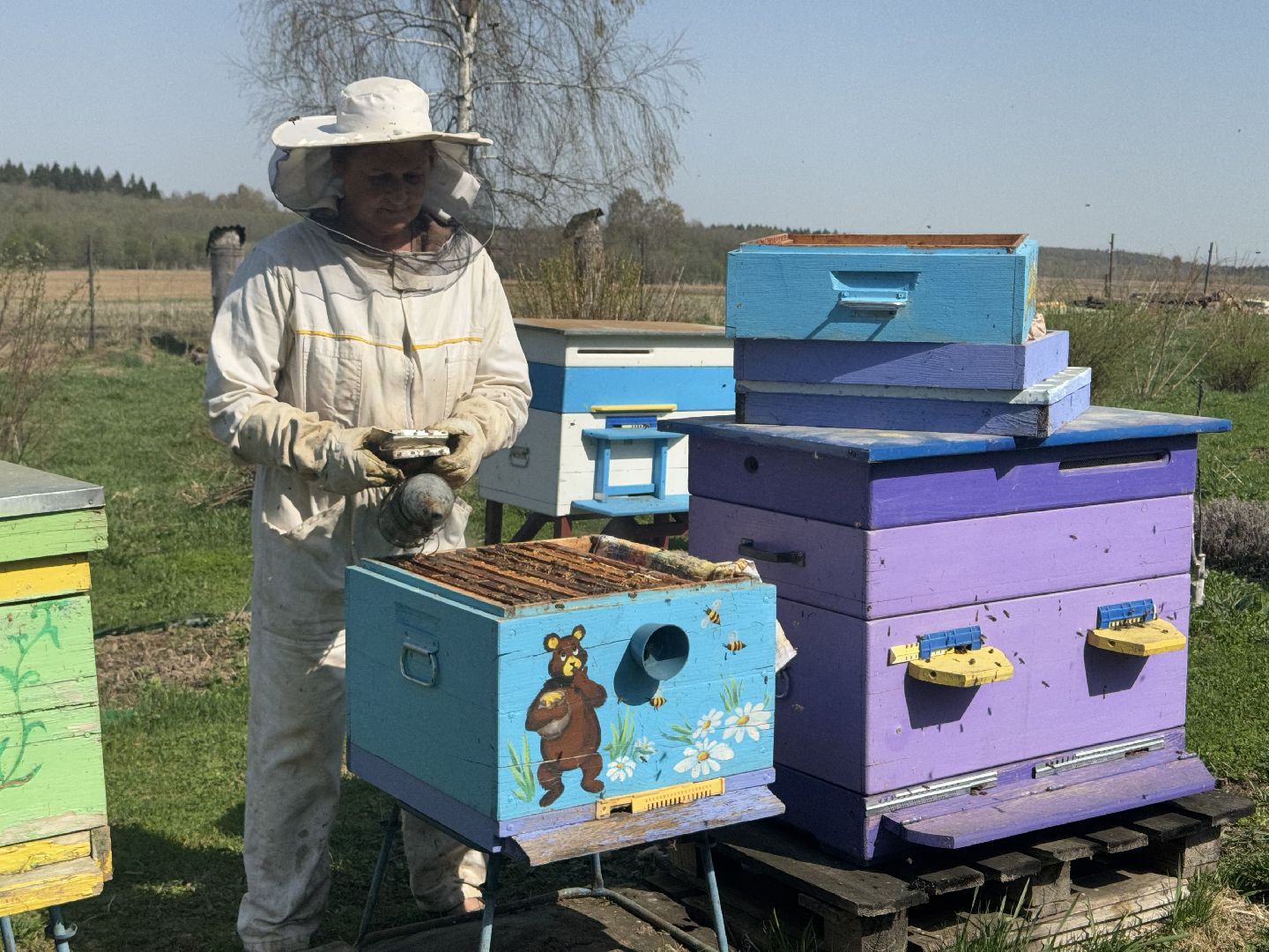 шаховская, пчеловод, пчеловодство, мёд,