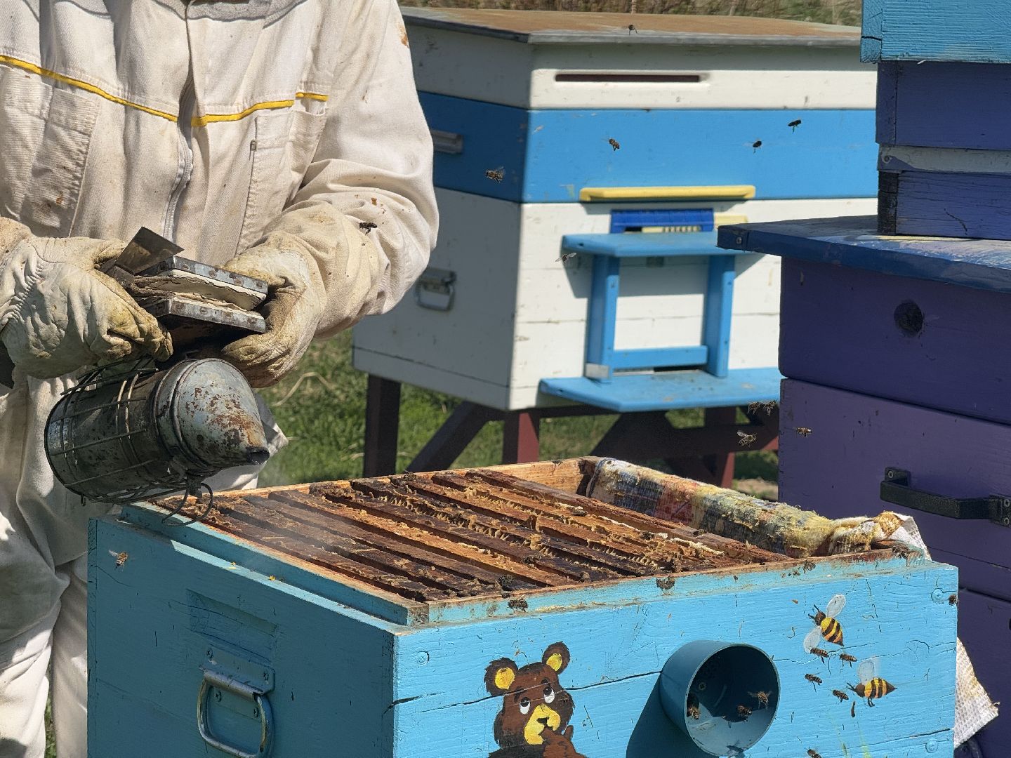 шаховская, пчеловод, пчеловодство, мёд,