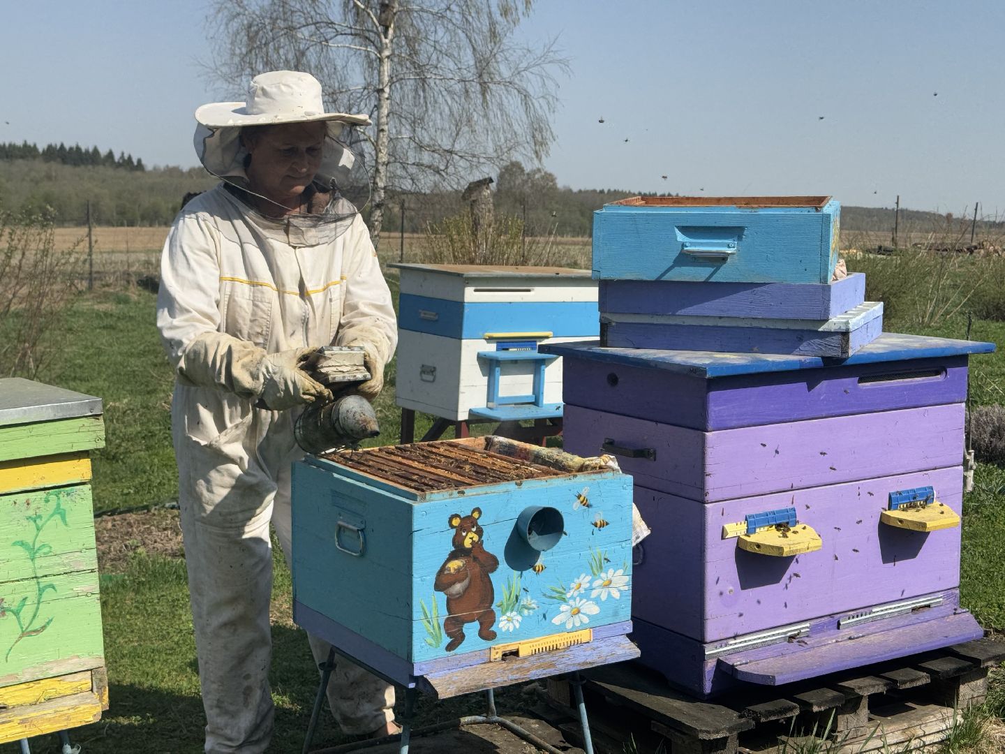 шаховская, пчеловод, пчеловодство, мёд,