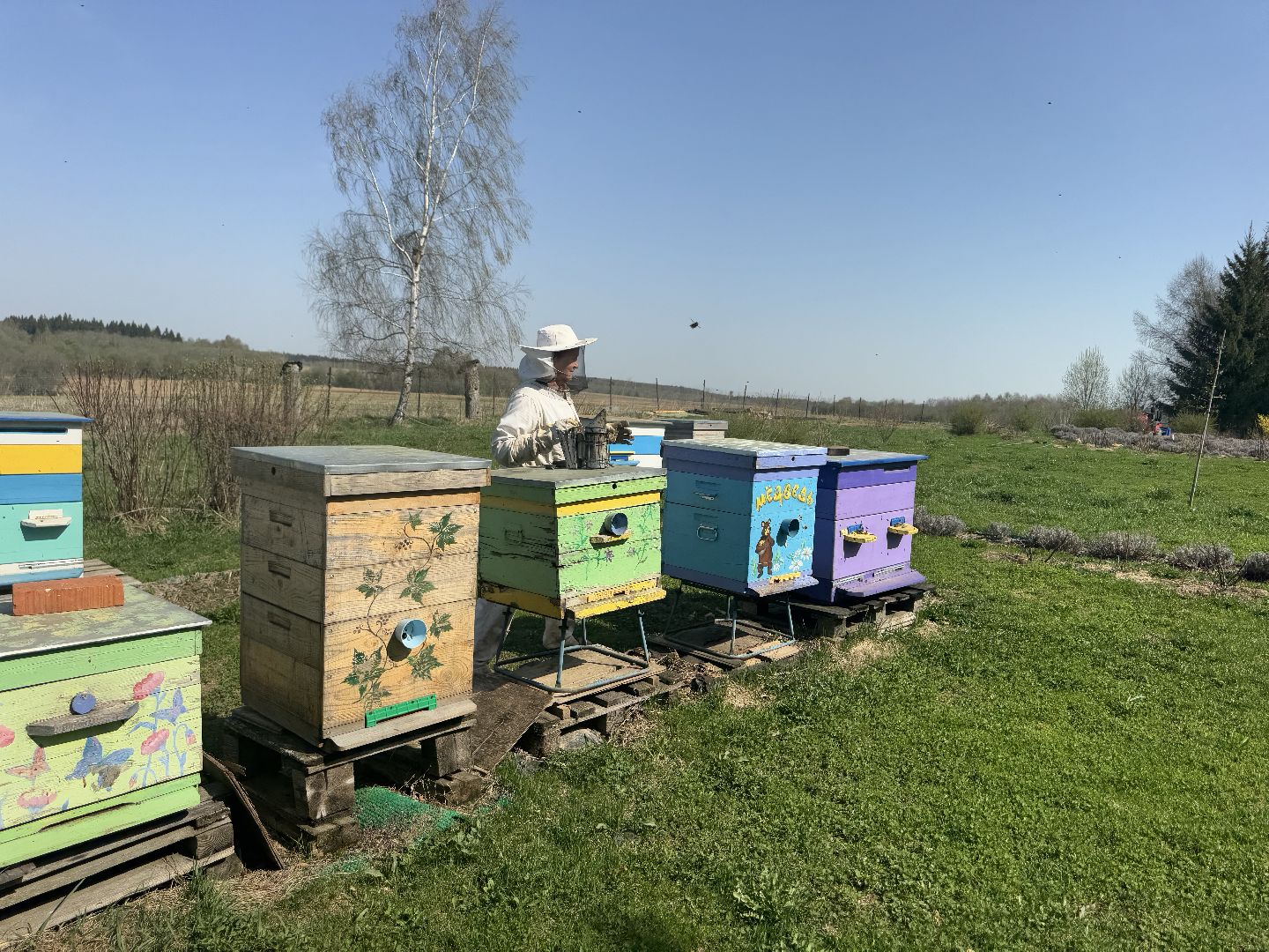 шаховская, пчеловод, пчеловодство, мёд,
