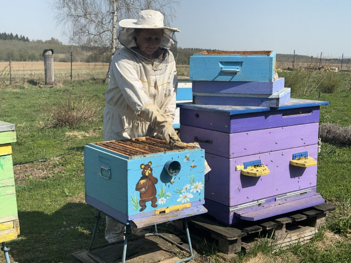 шаховская, пчеловод, пчеловодство, мёд,