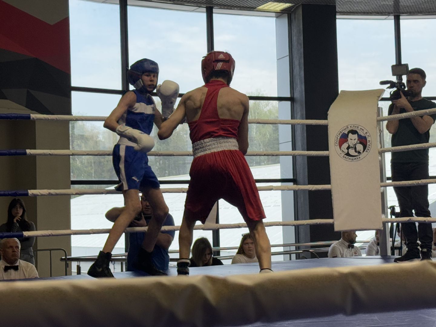 бокс, турнир дмитрия двали, ледовый дворец балашиха,