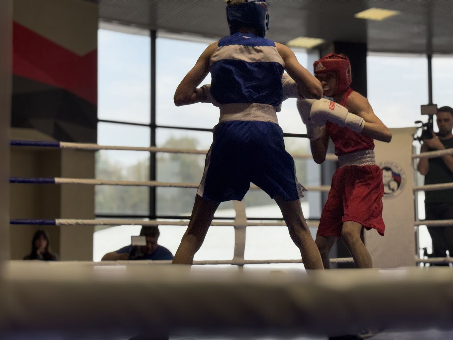 бокс, турнир дмитрия двали, ледовый дворец балашиха,