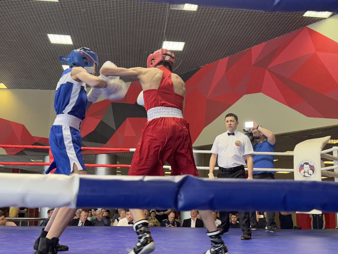 бокс, турнир дмитрия двали, ледовый дворец балашиха,