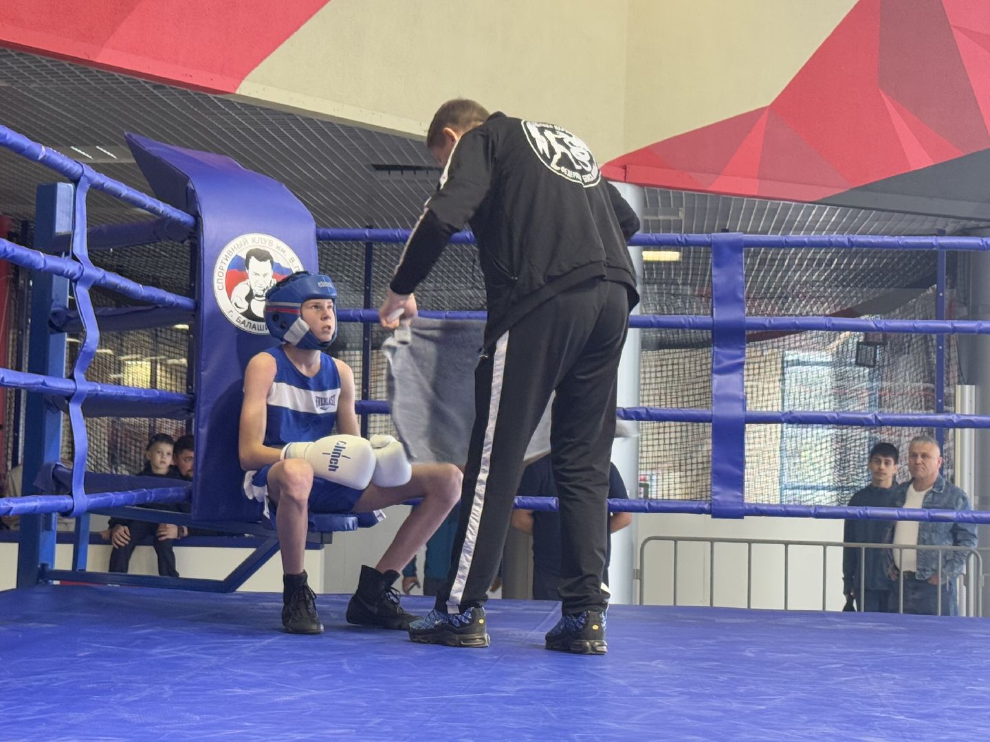 бокс, турнир дмитрия двали, ледовый дворец балашиха,