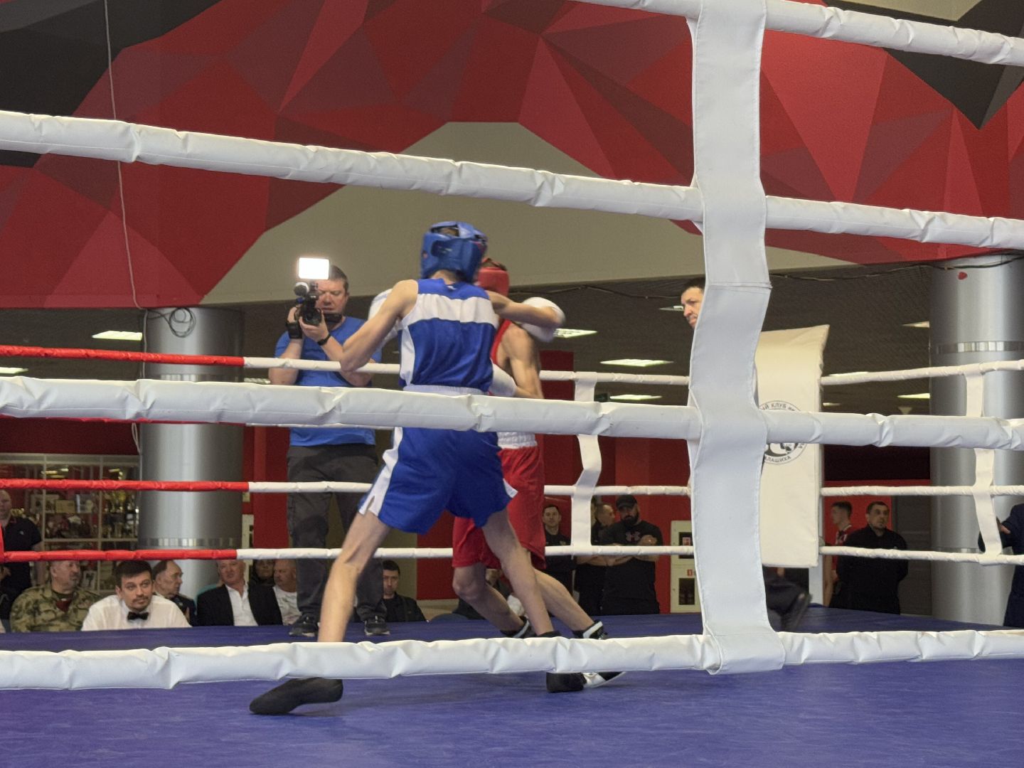 бокс, турнир дмитрия двали, ледовый дворец балашиха,