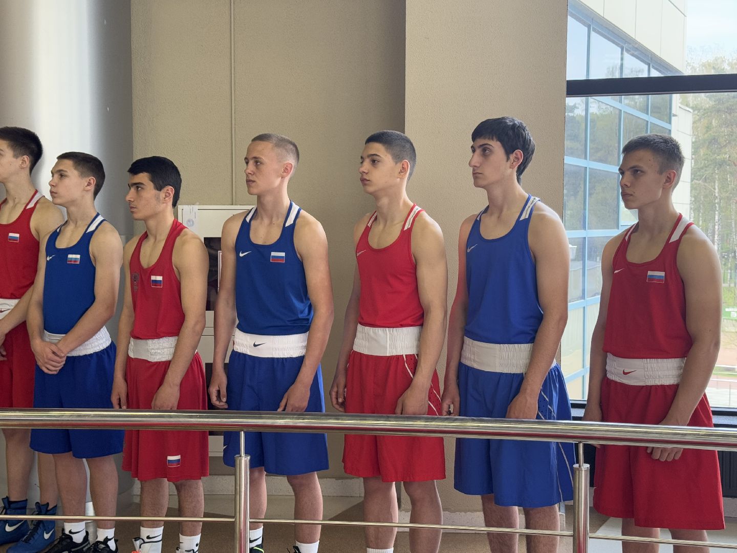 бокс, турнир дмитрия двали, ледовый дворец балашиха,