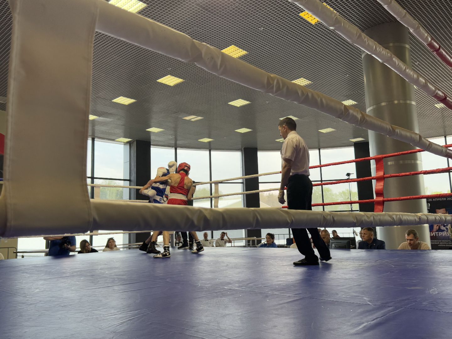 бокс, турнир дмитрия двали, ледовый дворец балашиха,