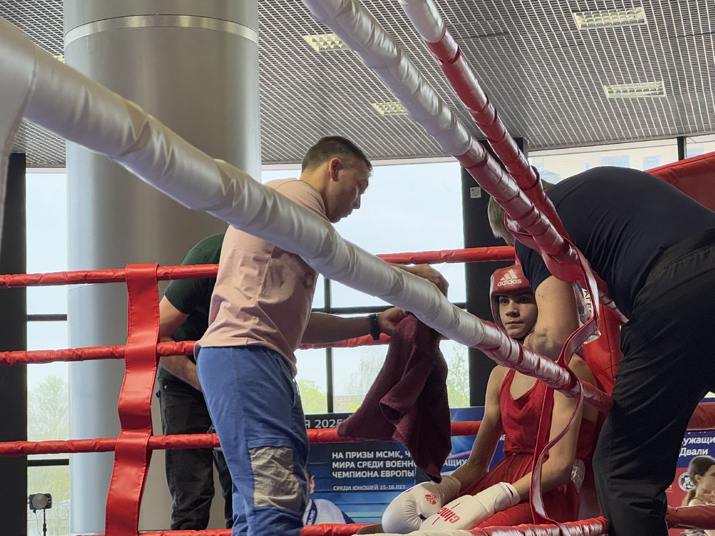 бокс, турнир дмитрия двали, ледовый дворец балашиха,