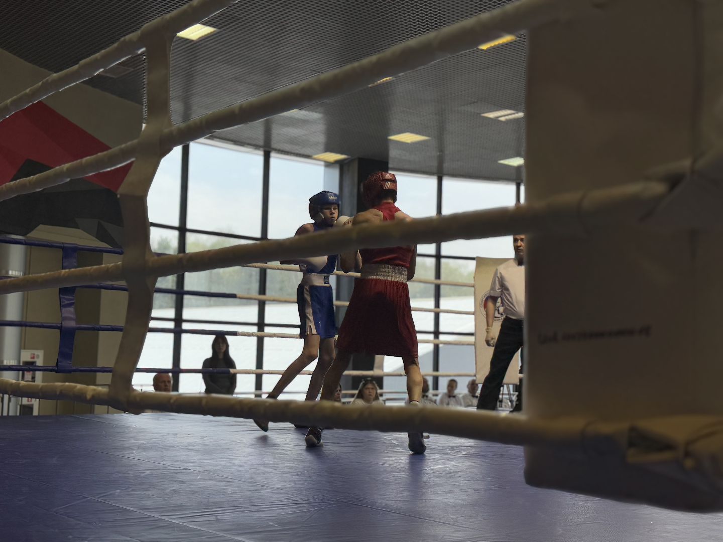 бокс, турнир дмитрия двали, ледовый дворец балашиха,