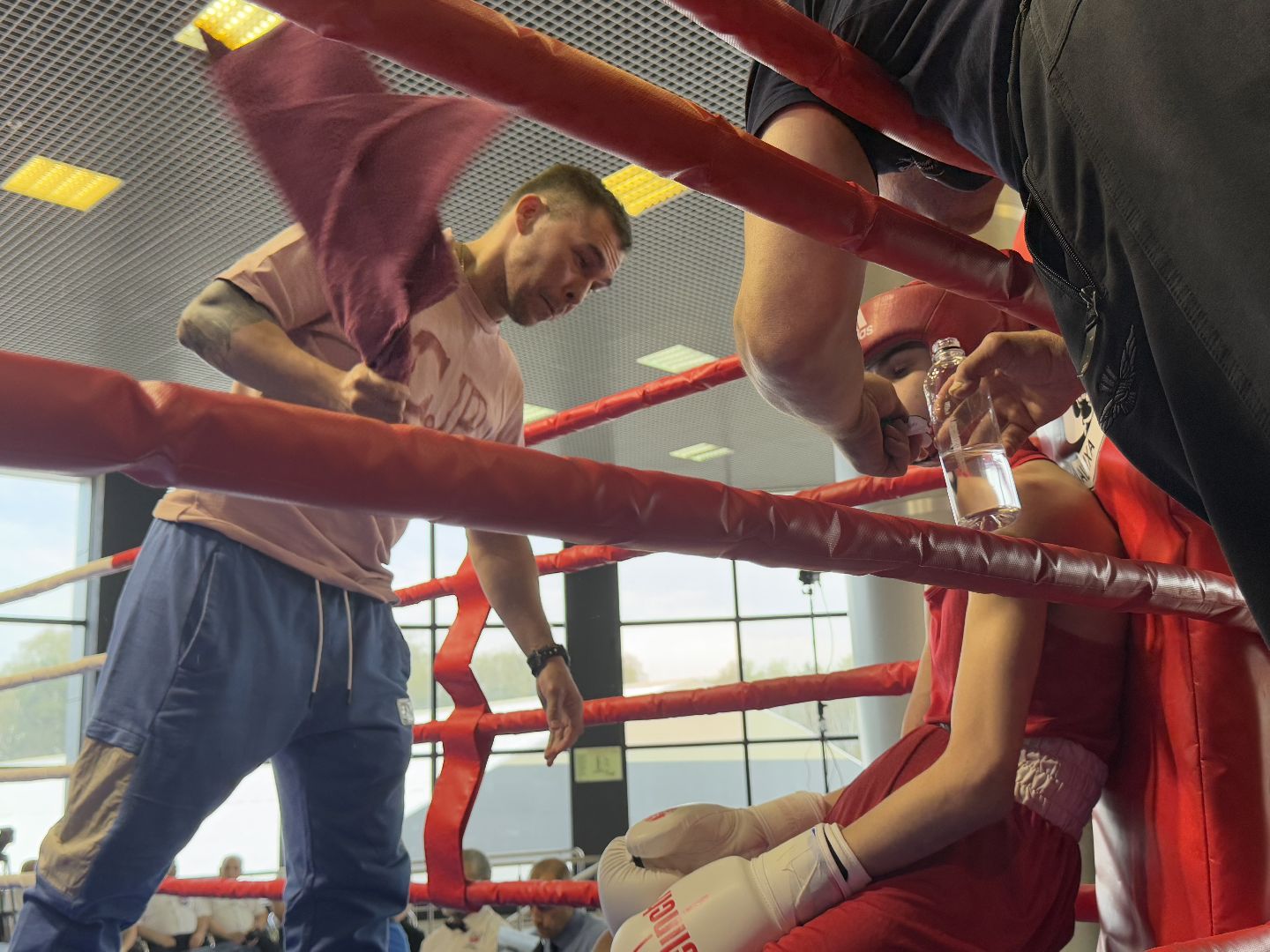 бокс, турнир дмитрия двали, ледовый дворец балашиха,