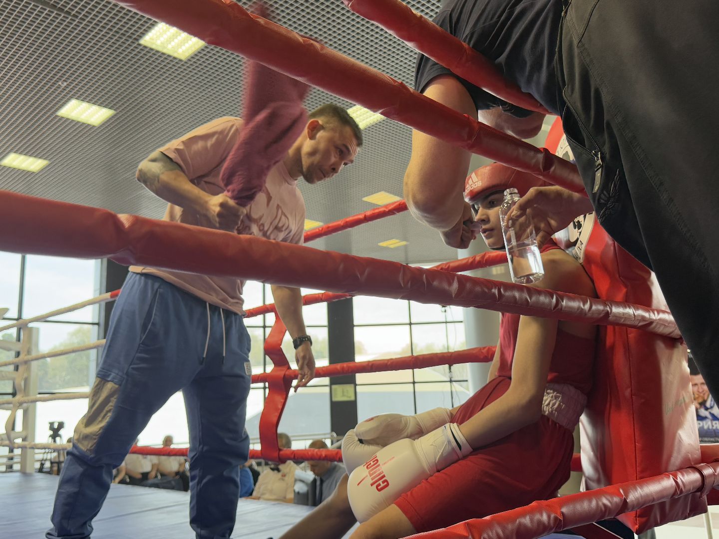 бокс, турнир дмитрия двали, ледовый дворец балашиха,