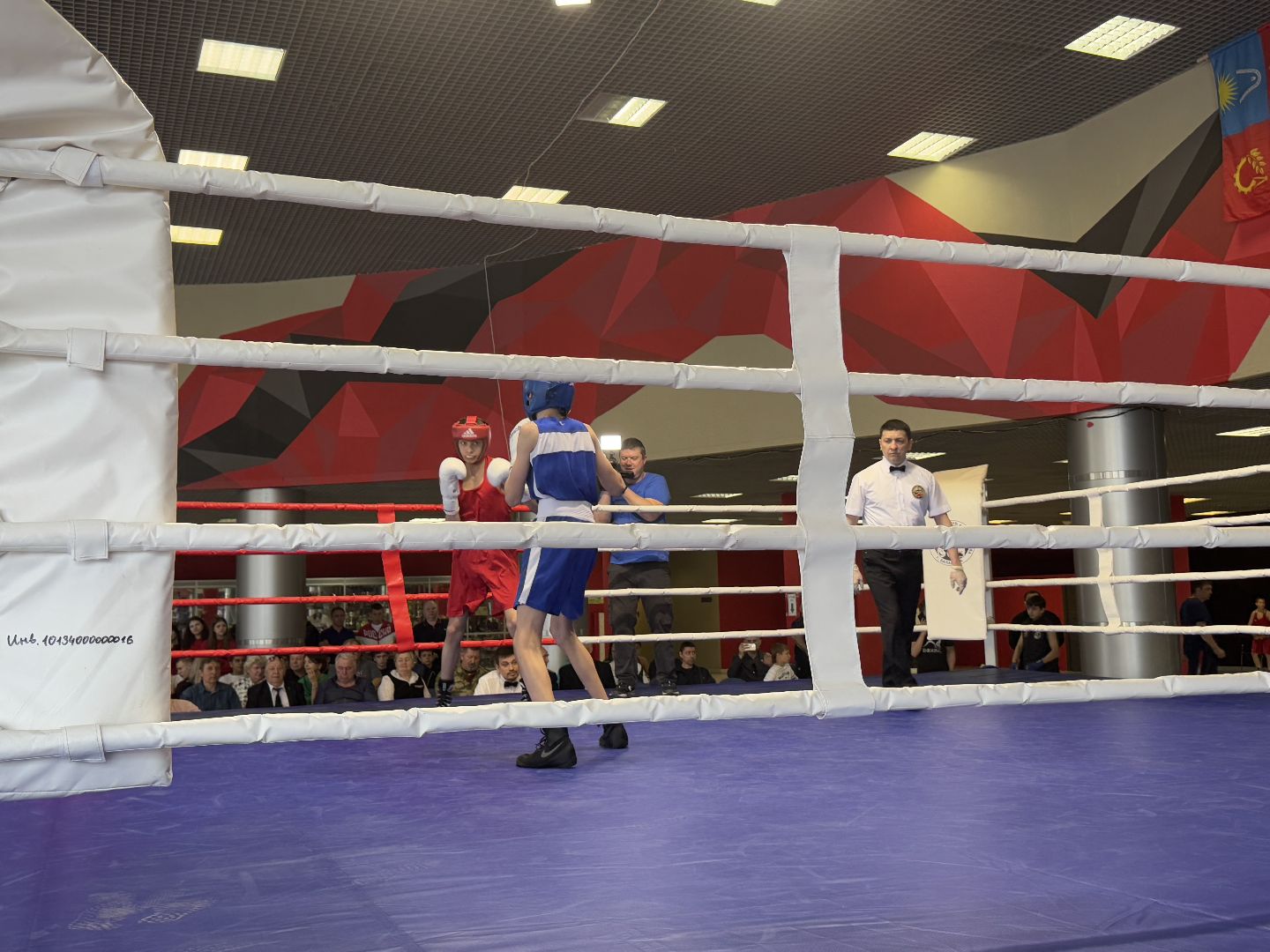 бокс, турнир дмитрия двали, ледовый дворец балашиха,