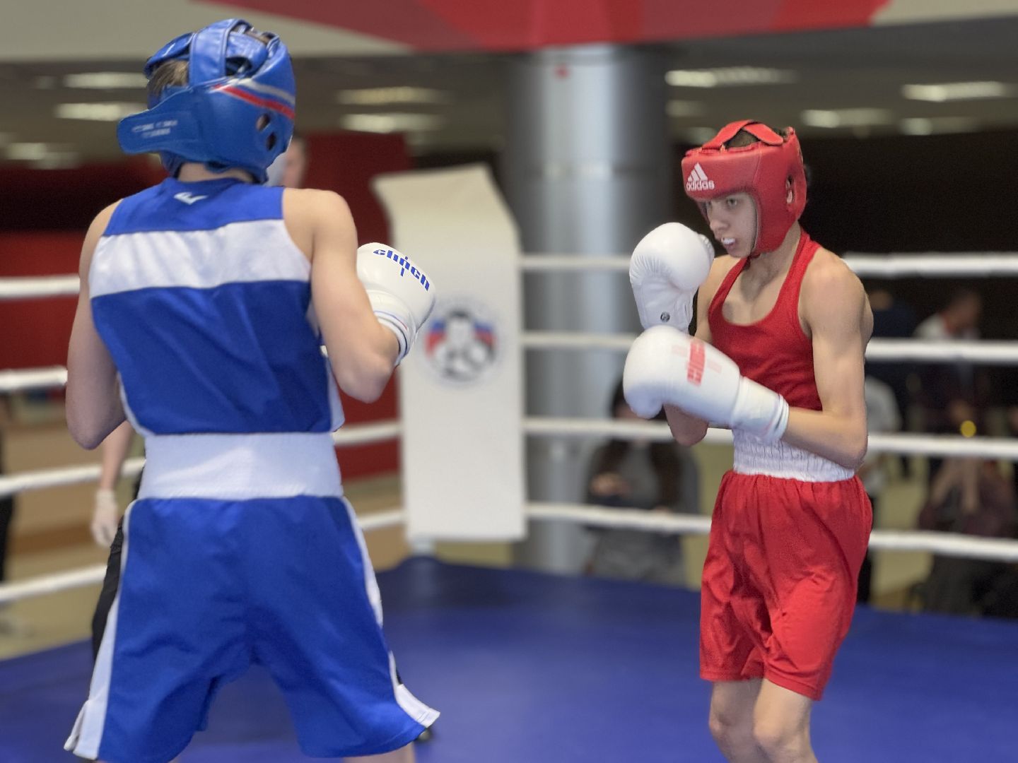 бокс, турнир дмитрия двали, ледовый дворец балашиха,