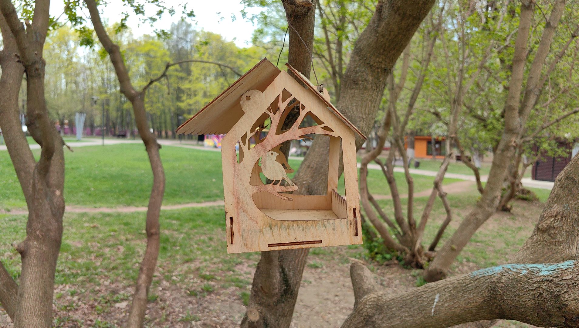 скворечник, парк, утки, птицы, корм для уток, кормушки,