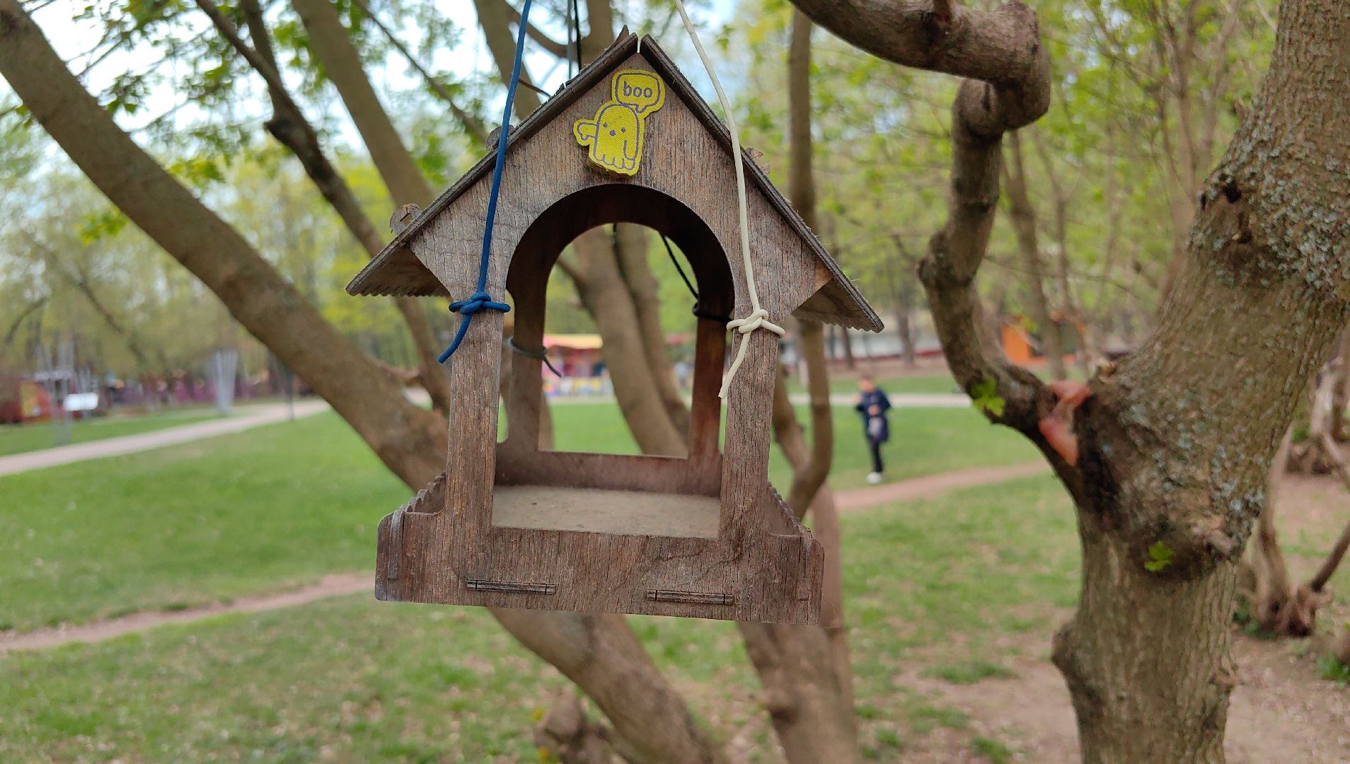 скворечник, парк, утки, птицы, корм для уток, кормушки,