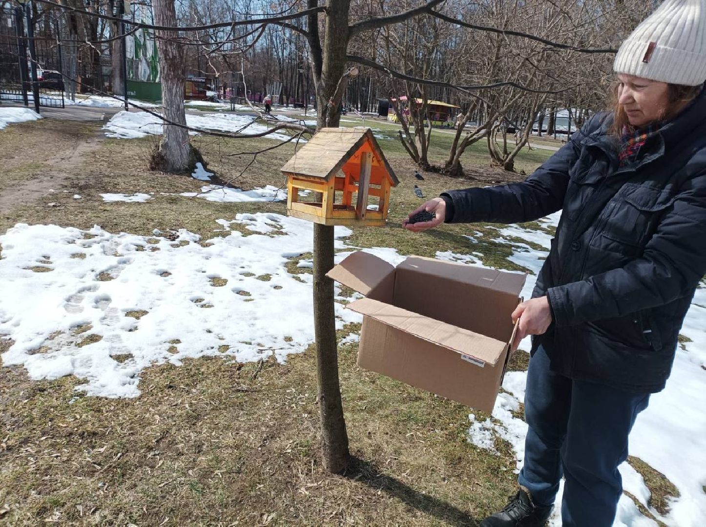 скворечник, парк, утки, птицы, корм для уток, кормушки,