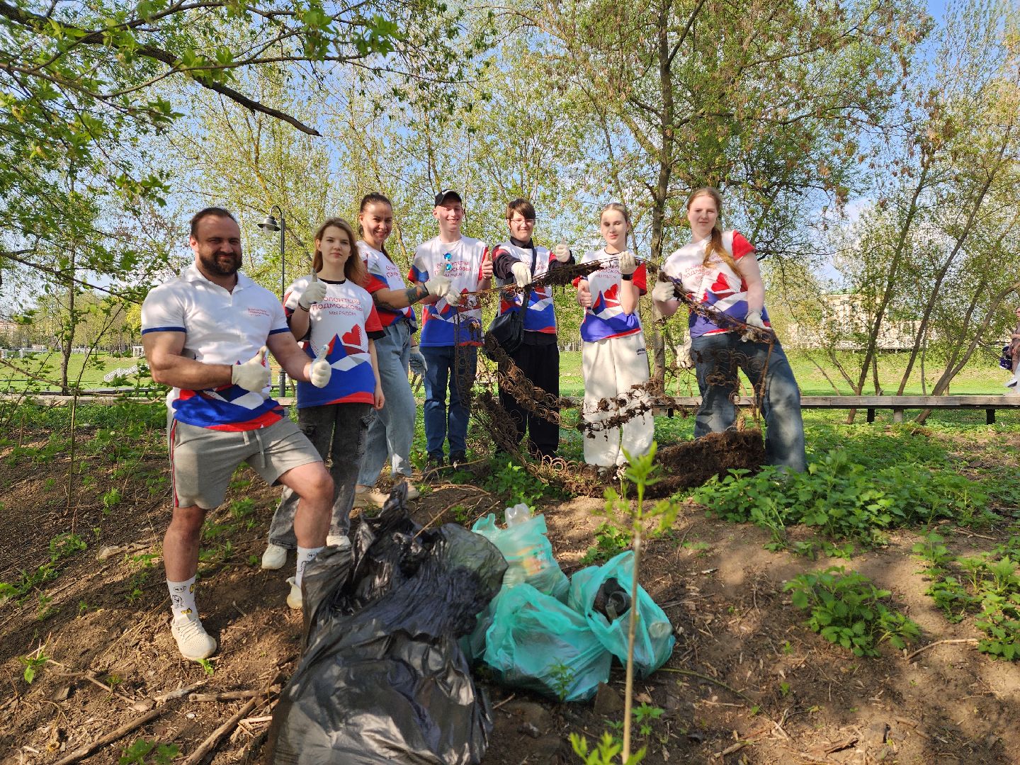 воскресенск, благоустройство , волонтеры,