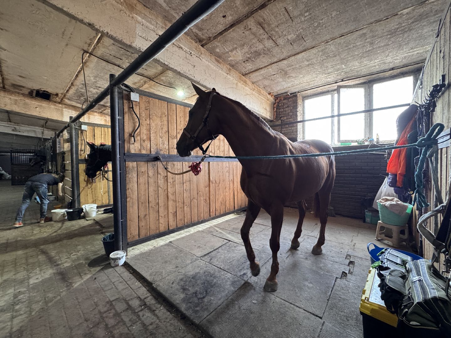 Конкур, Всадница из Одинцова, Спорт Подмосковья,