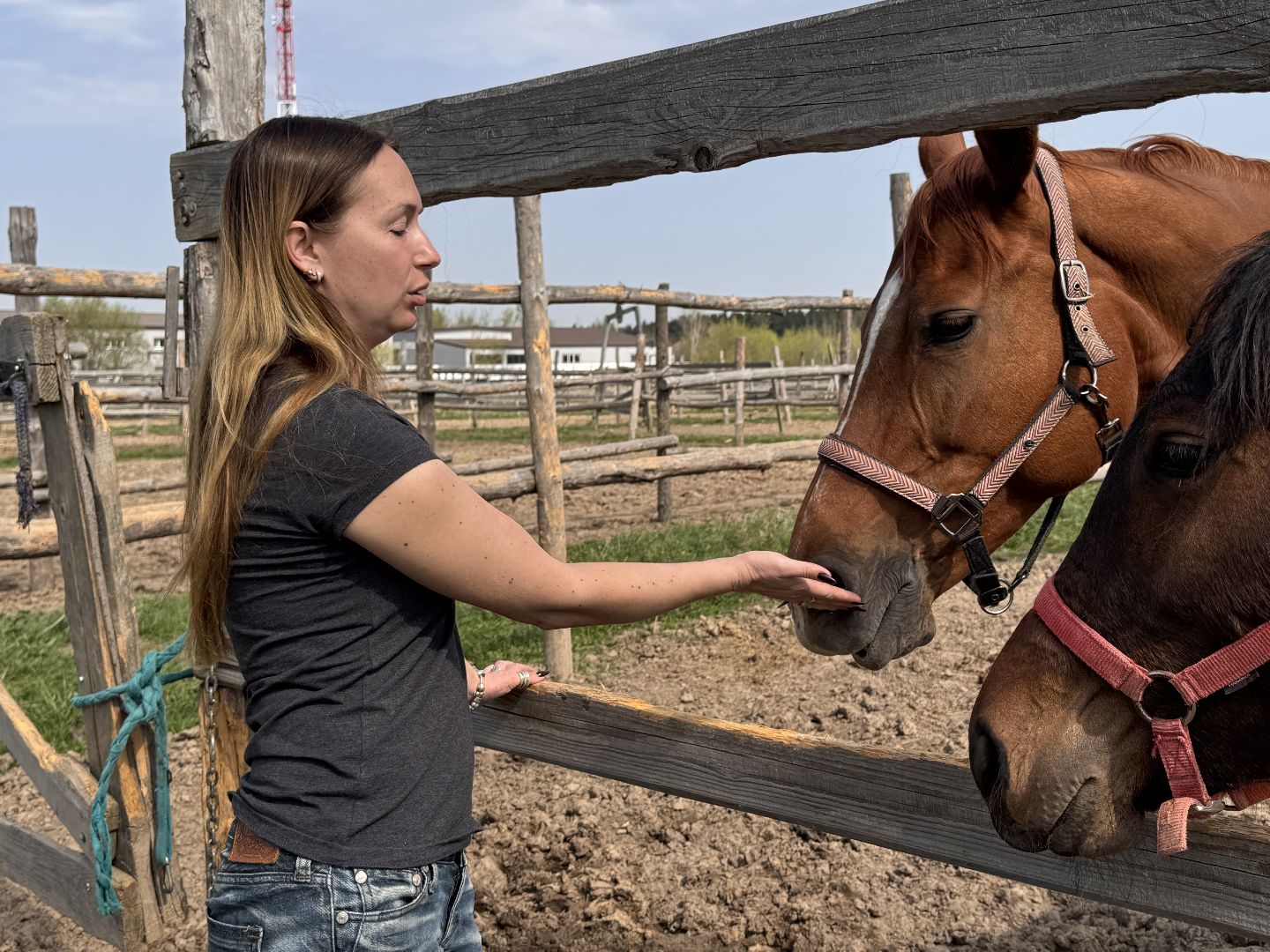 Конкур, Всадница из Одинцова, Спорт Подмосковья,