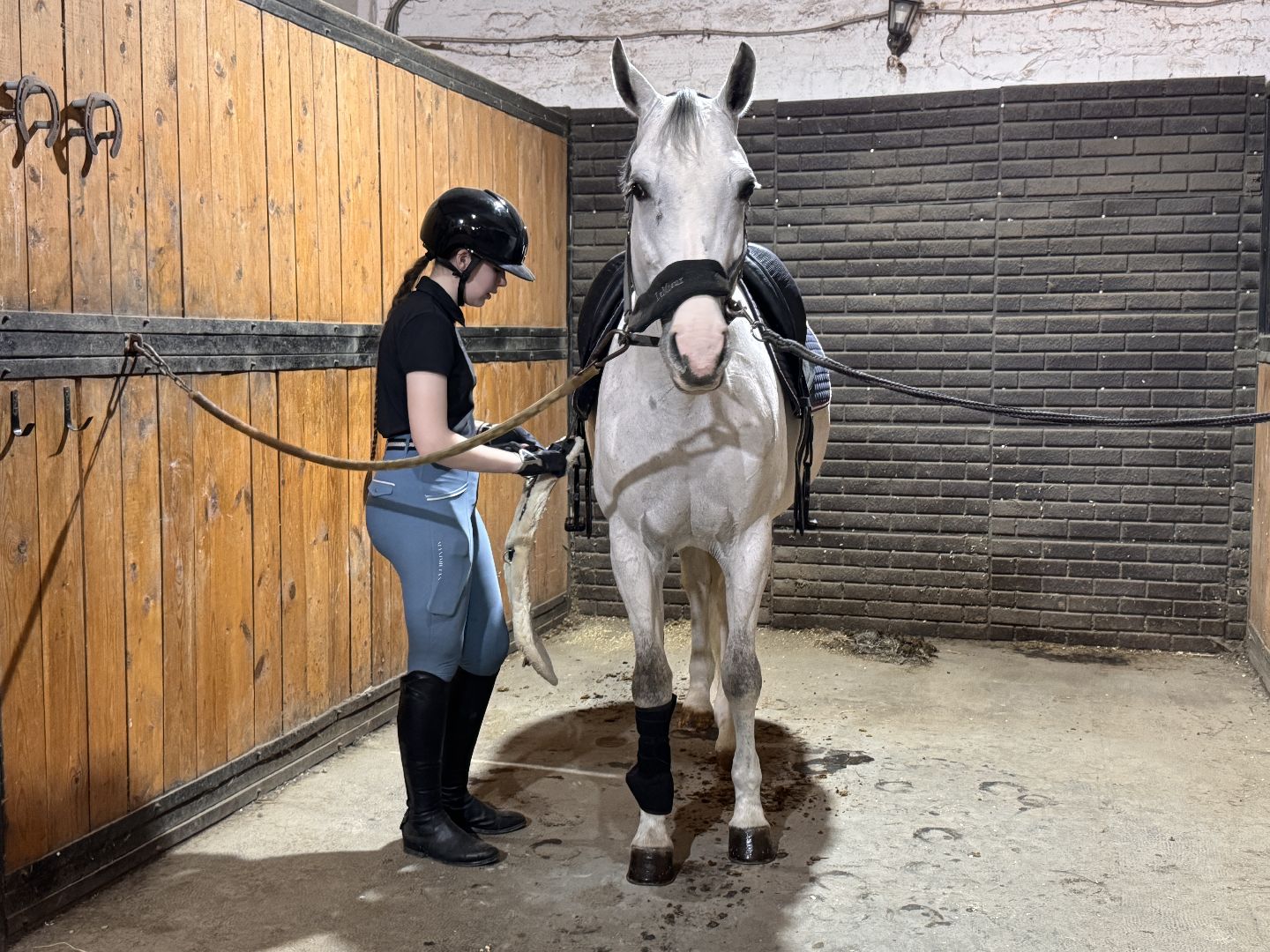 Конкур, Всадница из Одинцова, Спорт Подмосковья,