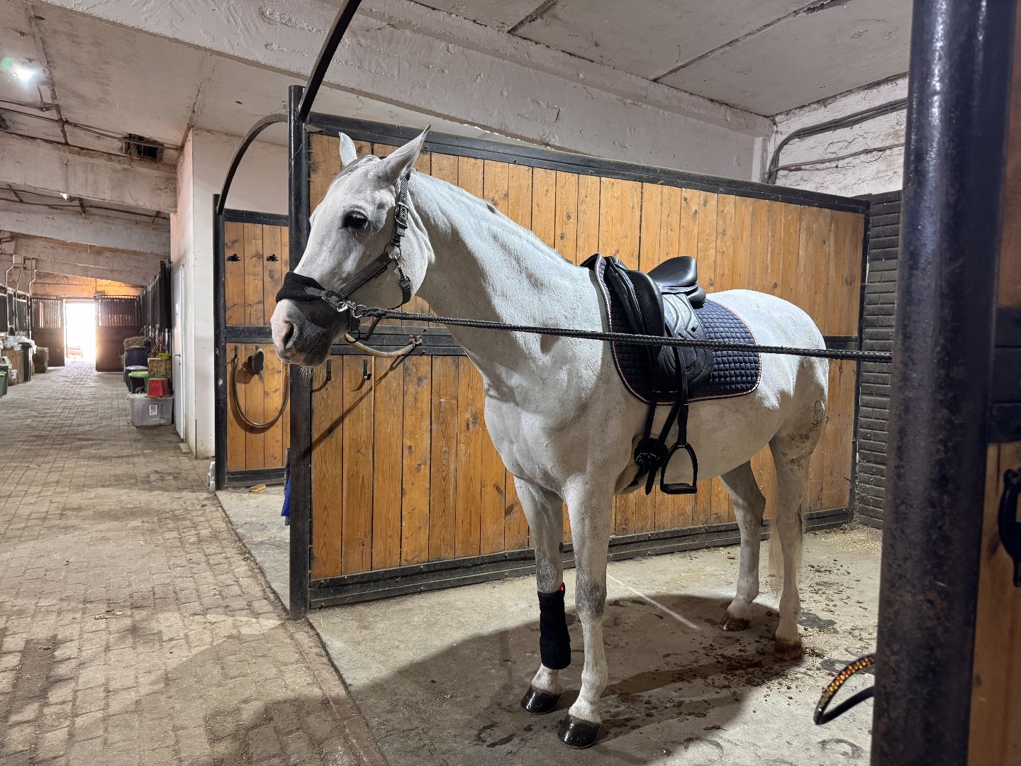 Конкур, Всадница из Одинцова, Спорт Подмосковья,