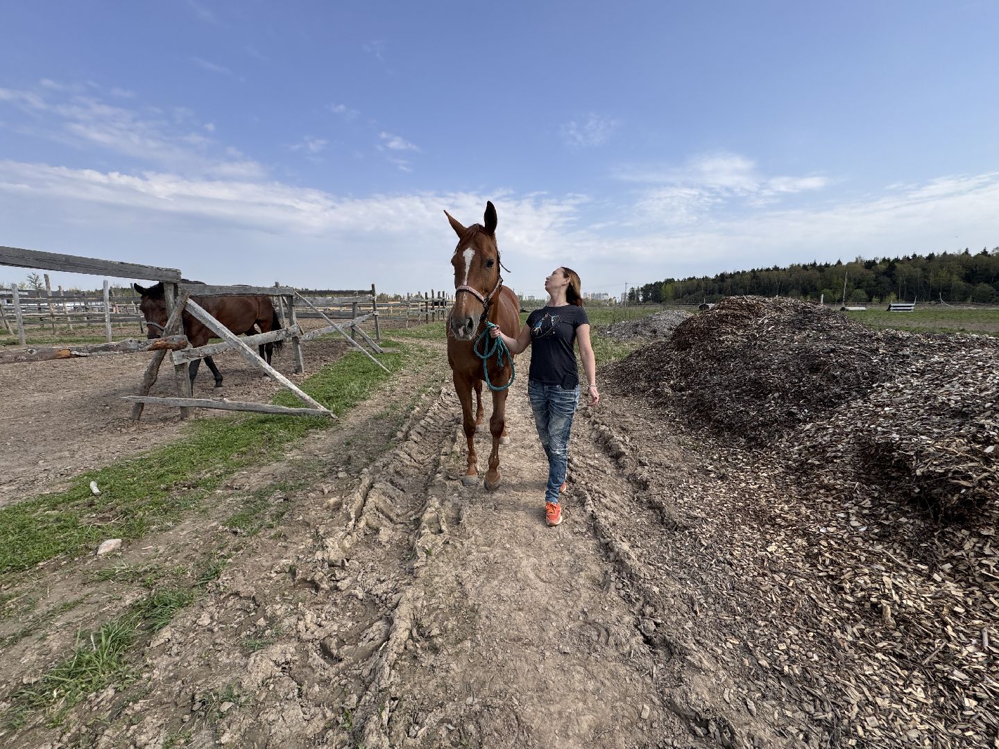 Конкур, Всадница из Одинцова, Спорт Подмосковья,
