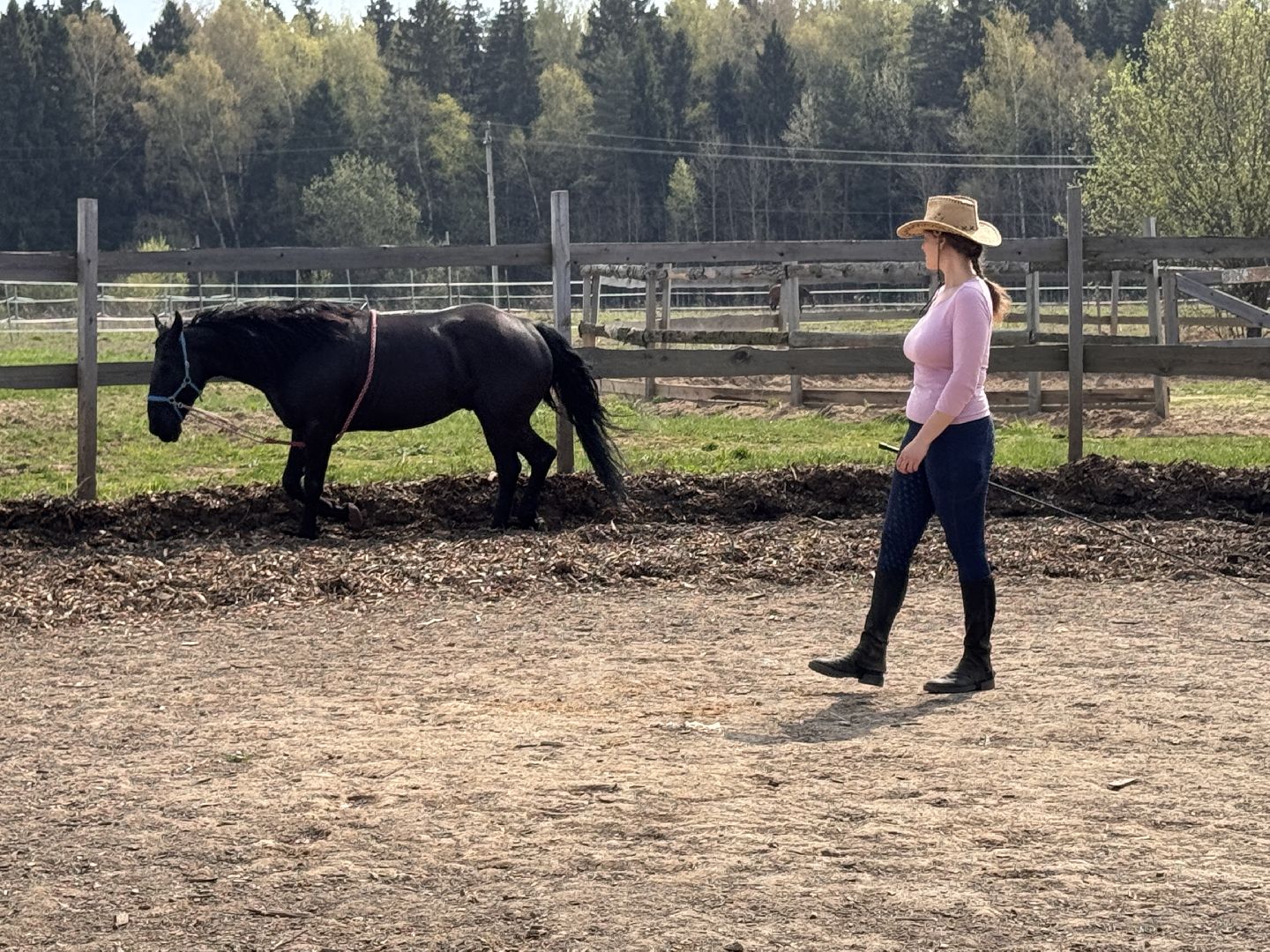 Конкур, Всадница из Одинцова, Спорт Подмосковья,