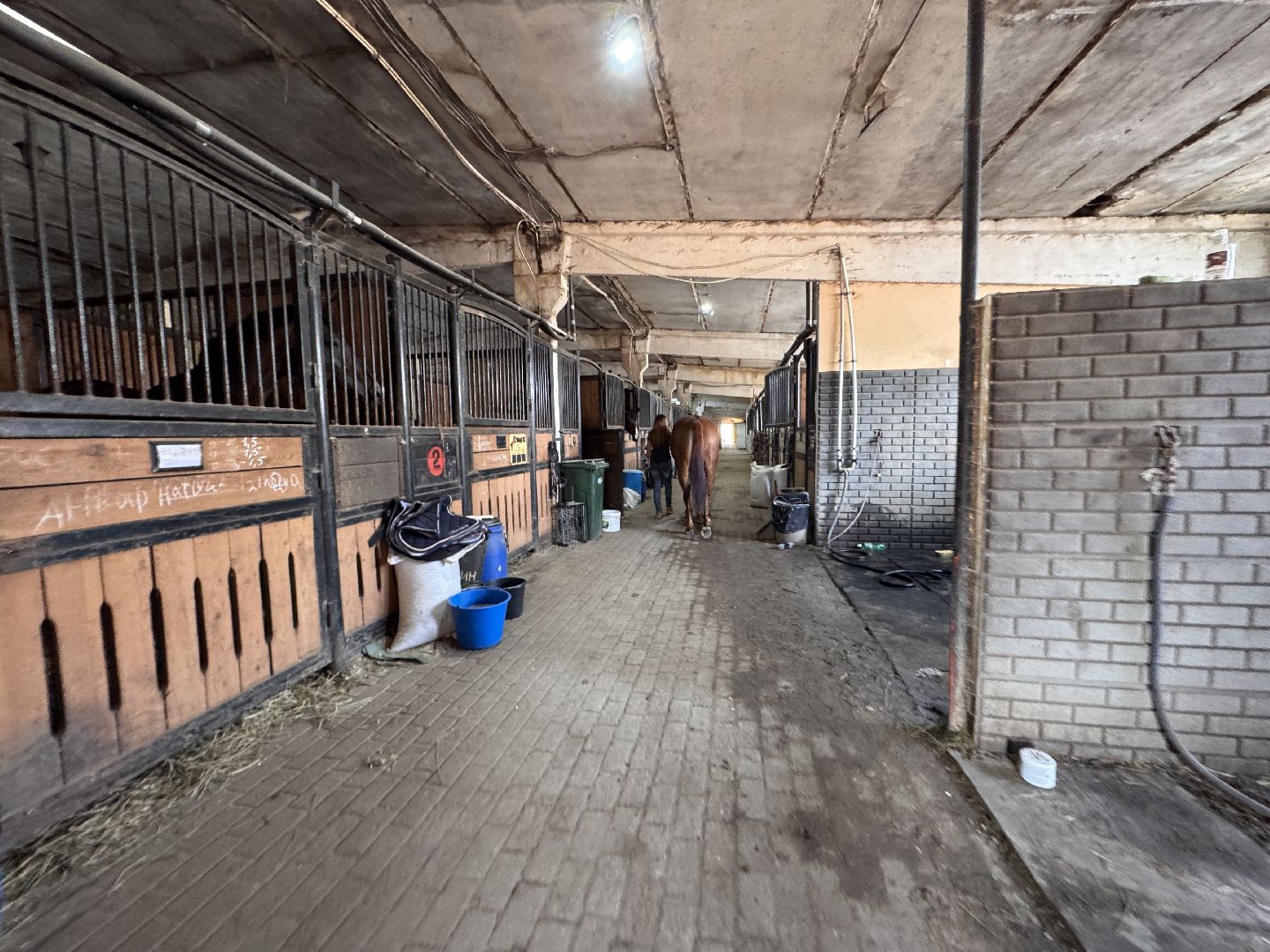 Конкур, Всадница из Одинцова, Спорт Подмосковья,