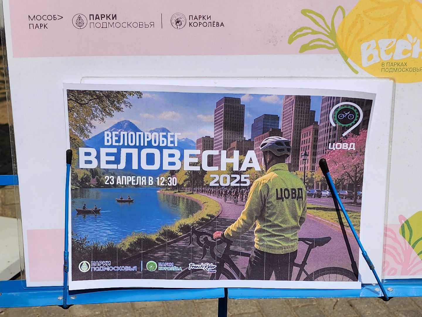 королёв, велоспорт в королеве , центр организации велосипедного движения в королеве, спорт - это жизнь,