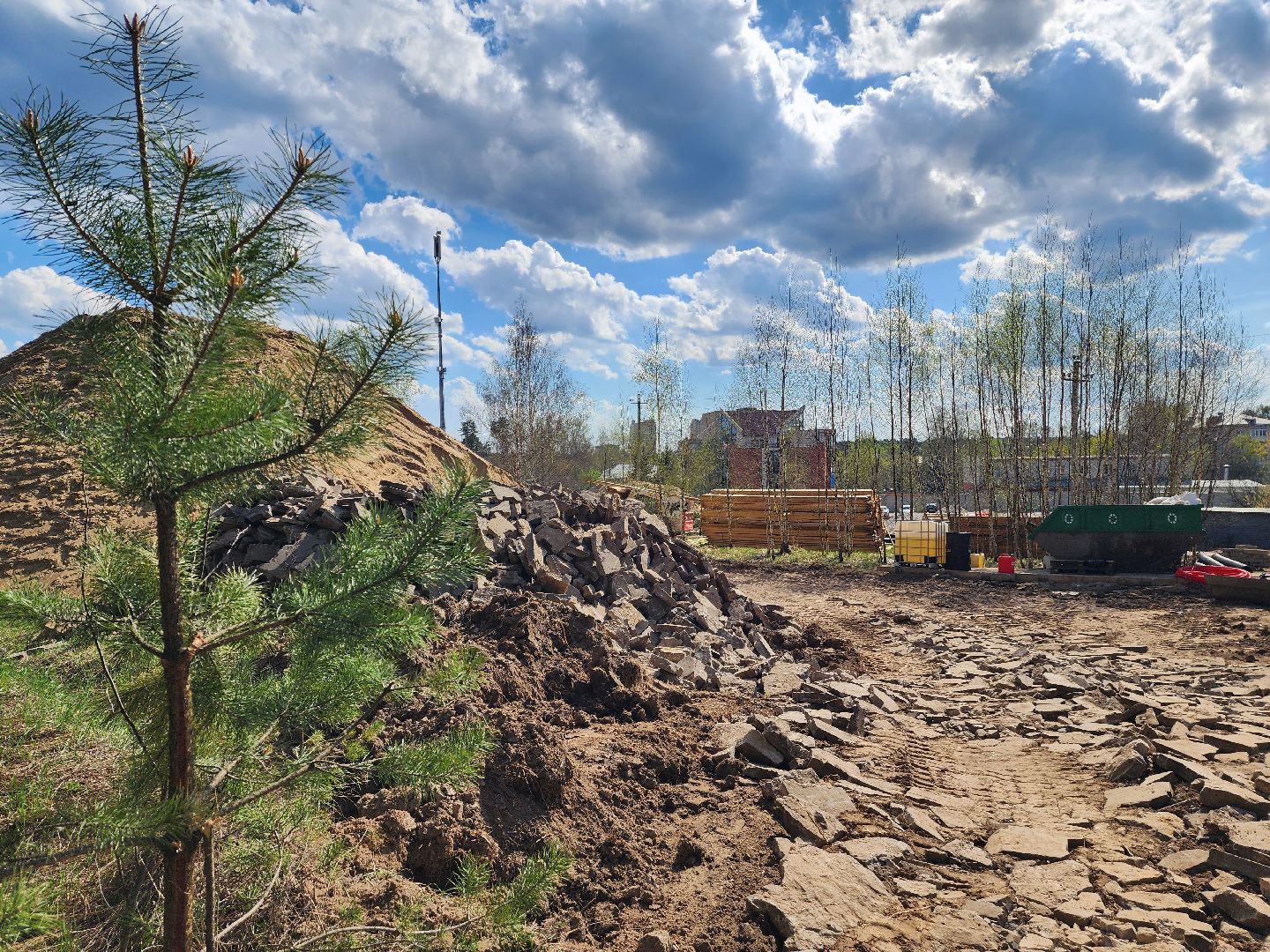 красноармейск, городской округ пушкинский, лесопарк, банный лес,