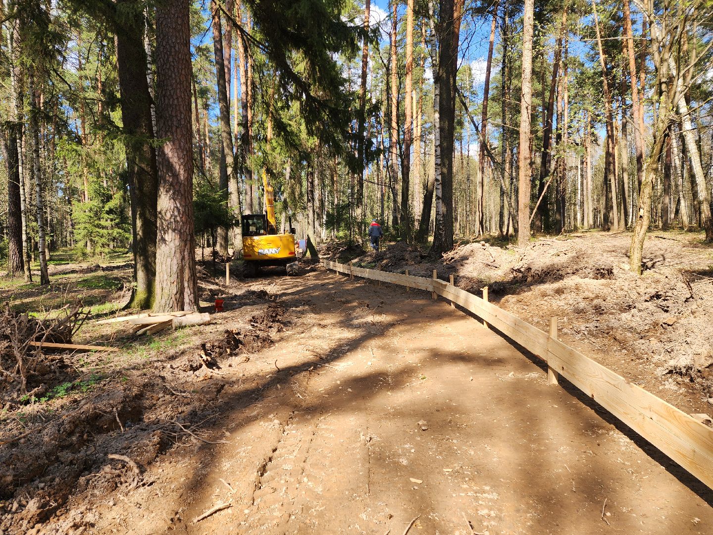красноармейск, городской округ пушкинский, лесопарк, банный лес,